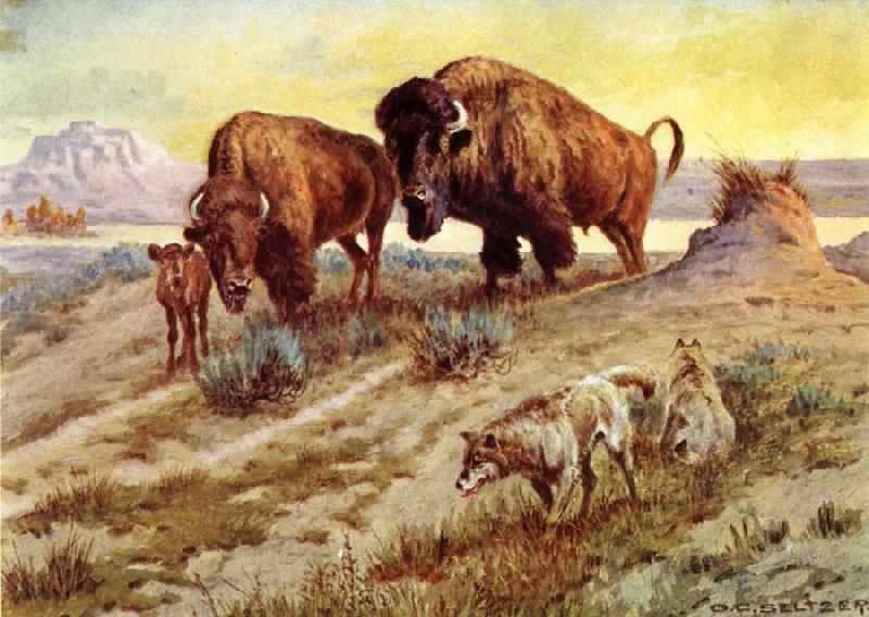 unknow artist Buffalo Family oil painting picture